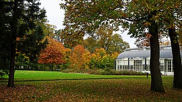 Orangerie dans une ambiance automnale