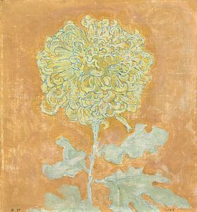 Chrysanthemum, Piet Mondrian