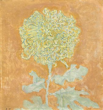 Chrysanthemum, Piet Mondrian