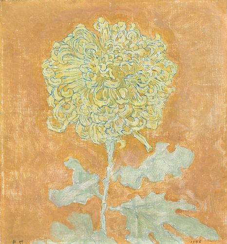 Chrysanthemum, Piet Mondriaan