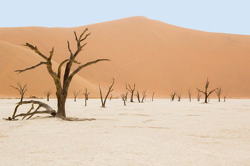Deadvlei Namibia