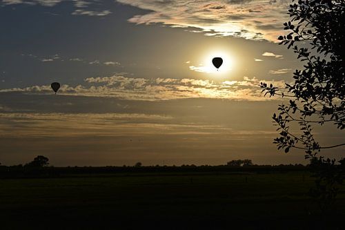 Luchtballonnen in het avond zonnetje