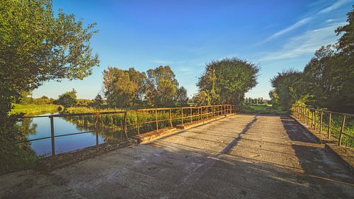 Spreewald van rosstek ®
