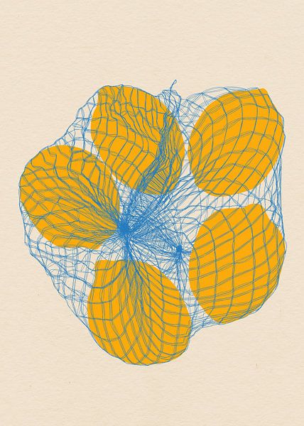 Five Lemons In a Net Bag by Rosi Feist