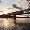 Eisenbahnbrücke mit Blick auf Mainz mit Sonnenstern am Rhein von Jens Seßler