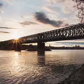 Spoorbrug met uitzicht op Mainz met zonster op de Rijn van Jens Seßler