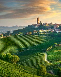 Das Dorf Barbaresco und die Weinberge der Langhe, Italien