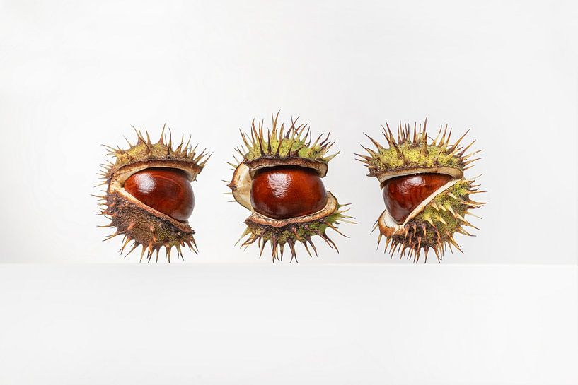 Chestnuts by Elles Rijsdijk