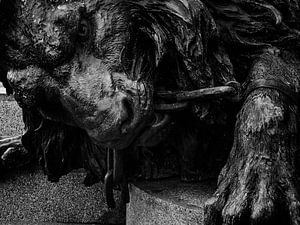 bronzen leeuw Venetie von Raymond Schrave