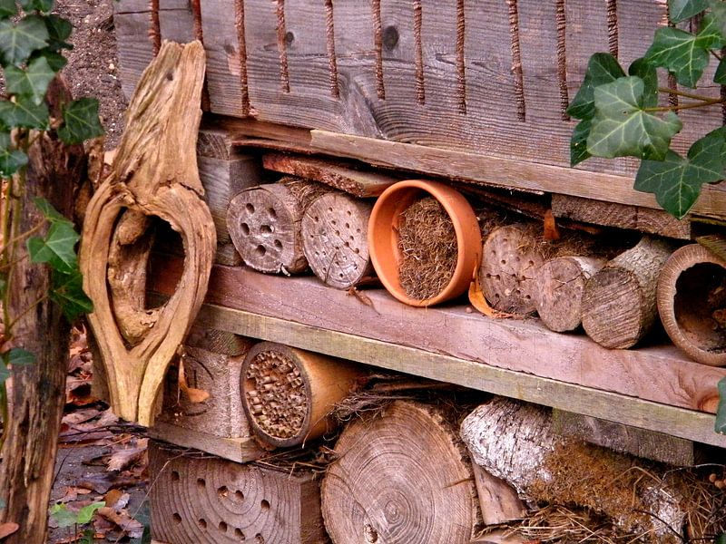 Insectenhotel. by Joke Schippers
