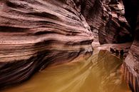 USA 2013, Buckskin Gulch (near Coyote Buttes) par Arno Fooy Aperçu