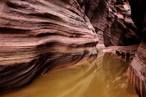 USA 2013, Buckskin Gulch (near Coyote Buttes) van Arno Fooy