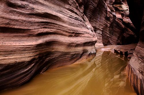 USA 2013, Buckskin Gulch (near Coyote Buttes) sur Arno Fooy