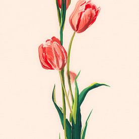 Elegant red tulips on a light background by But First Framing