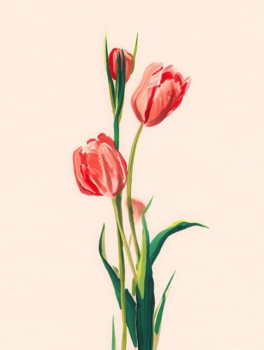 Elegante rote Tulpen auf hellem Hintergrund