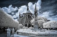 Kathedrale Notre-Dame de Paris von Rainer Pickhard Miniaturansicht