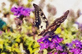 Butterfly by Jens-Uwe Ernst