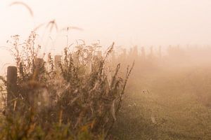 zaun im Nebel von Tania Perneel