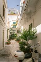 White Vespa in alley with many plants - Ostuni - Puglia - Italy