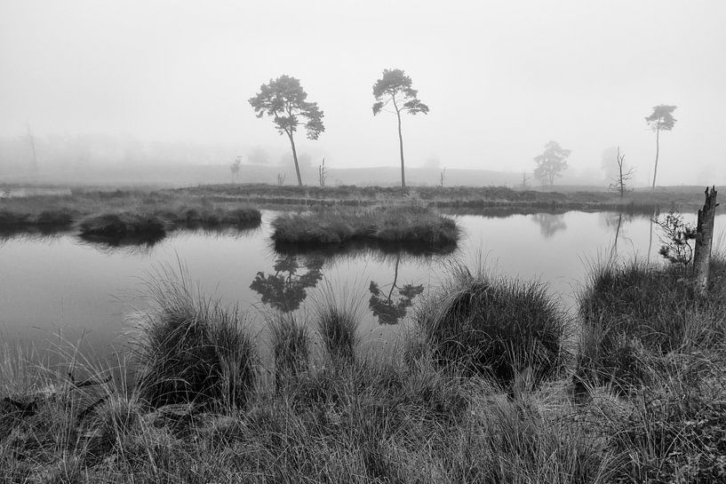 Vennen landschap monochroom van Elroy Spelbos Fotografie