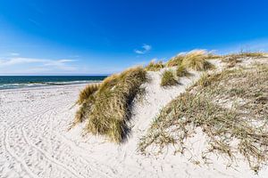 Strand in Vitte auf der Insel Hiddensee