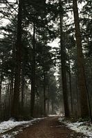 Schneevergnügen