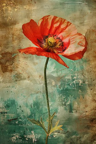 Prachtige rode papaverbloem op rustieke achtergrond