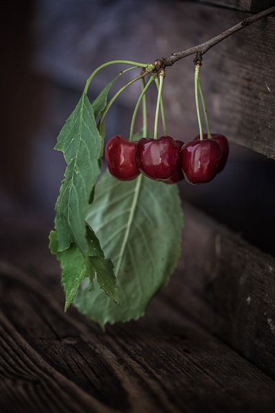 cerises par Sergej Nickel