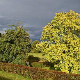 Sonnenstrahl vor dem Sturm von Jose Lok