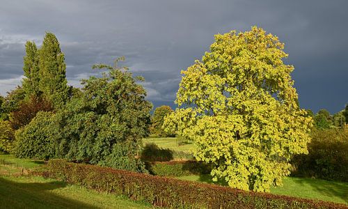 Sonnenstrahl vor dem Sturm von Jose Lok
