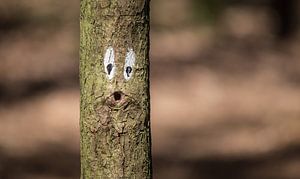 Aua Baum :) von Martijn van Dellen