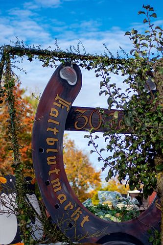 30ste verjaardag van de Laupheimse koudbloedmarkt