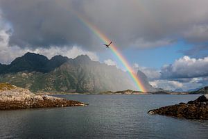 Willkommen im Paradies
