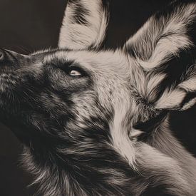 Chien sauvage africain en lumière silencieuse sur Eva Lee