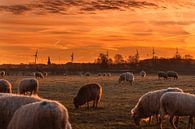 Zonsopkomst in Bocholtz von John Kreukniet Miniaturansicht