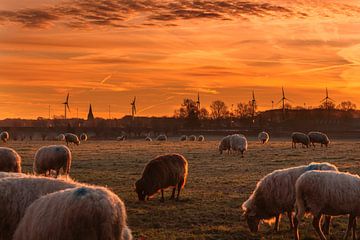 Zonsopkomst in Bocholtz sur John Kreukniet