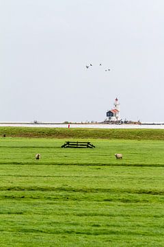 The Horse of Marken by Marcel Derweduwen