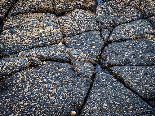 Limestone pavement near Downpatrick Head