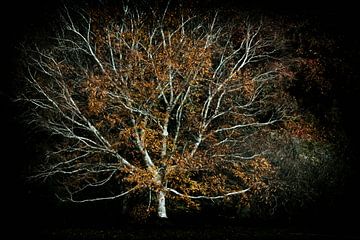 Warten darauf, gesehen zu werden. von Lars van de Goor