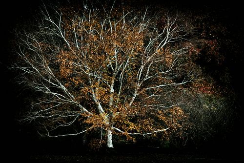 Warten darauf, gesehen zu werden.