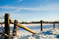 Mooi winters landschap van Marcel Mooij thumbnail
