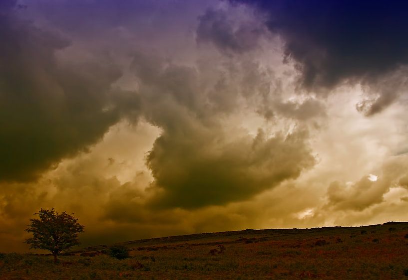 Donker in Dartmoor van Jack Tol