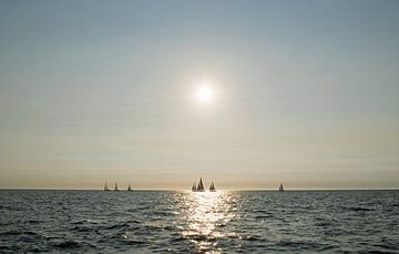 Segelschiffe auf See in der späten Abendsonne von Judith Cool