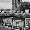 Notre Dame, Paris in schwarz-weiß von Blond Beeld