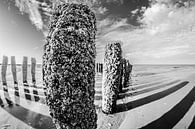 Pfahlreihe am Strand der Westkapelle in schwarz-weiß von Fotografie Jeronimo Miniaturansicht