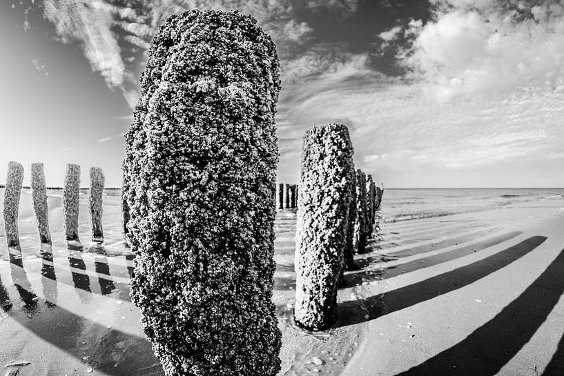 Pfahlreihe am Strand der Westkapelle in schwarz-weiß von Fotografie Jeronimo