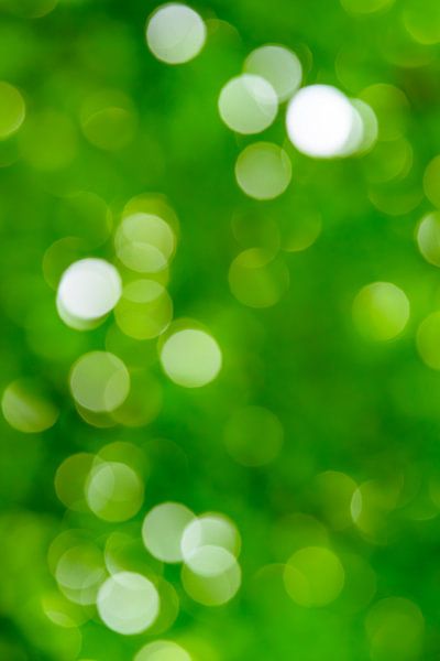 Arrière-plan forestier défocalisé par Sjoerd van der Wal Photographie