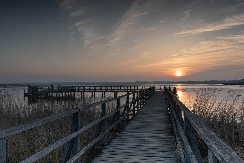Silent Morning von Julia Schellig