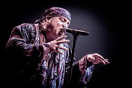 Little Steven 2019 van Johan Breij