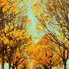 L'automne dans une ambiance pittoresque. sur Alie Ekkelenkamp
